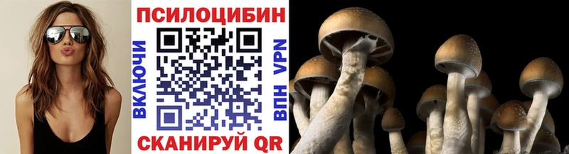 Псилоцибиновые грибы Psilocybine cubensis  блэк спрут маркетплейс  Инта 